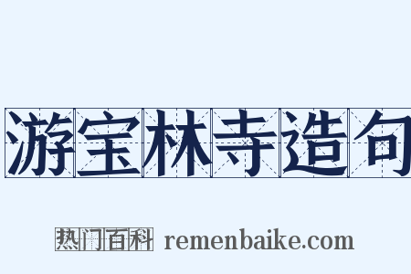 游宝林寺造句是什么意思的图片